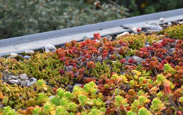 the cost of Little Cheverell green roof installation