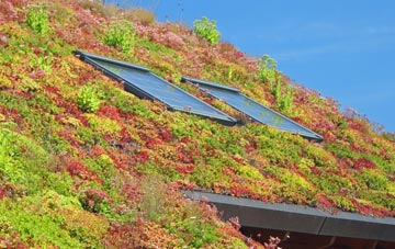 Little Cheverell living roof systems